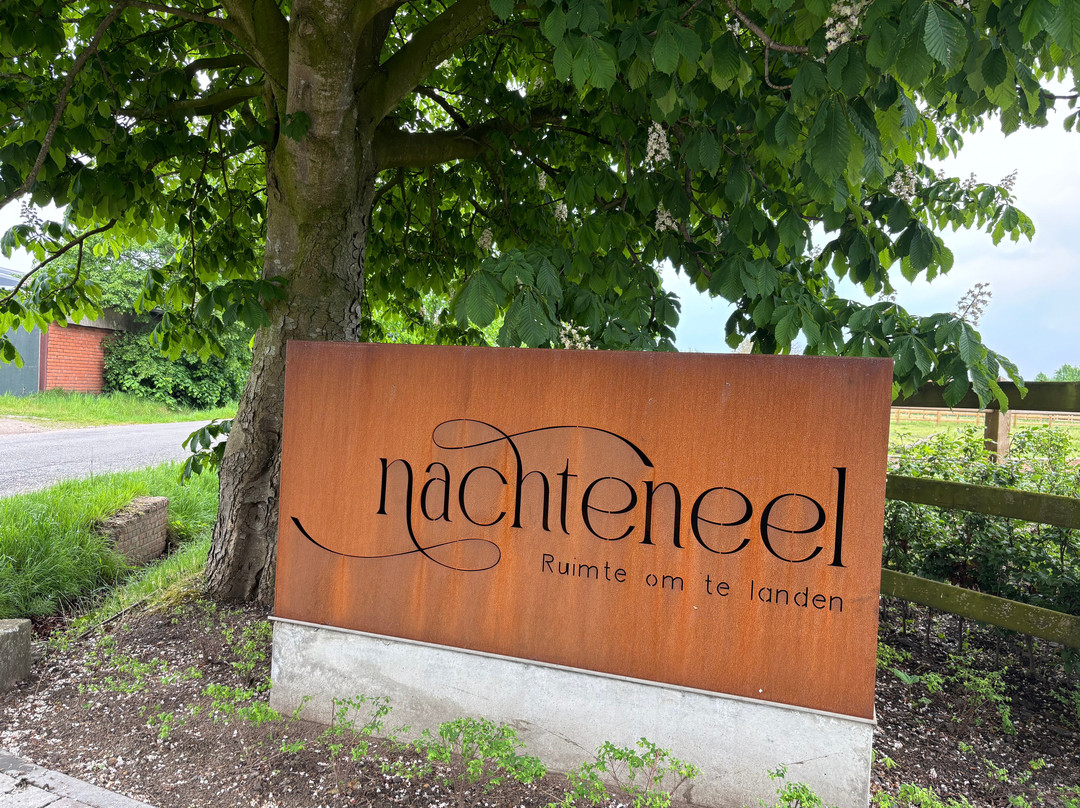 B&B Nachteneel主图