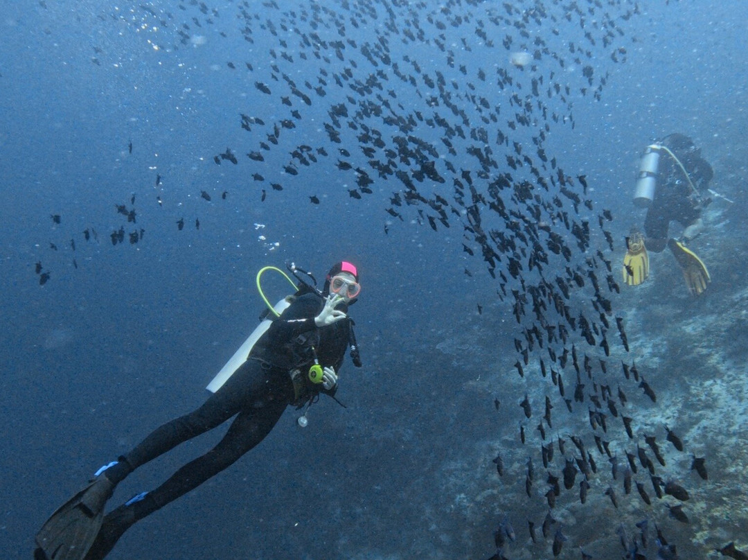 Blue Planet Dive Resort-比拉必去景点