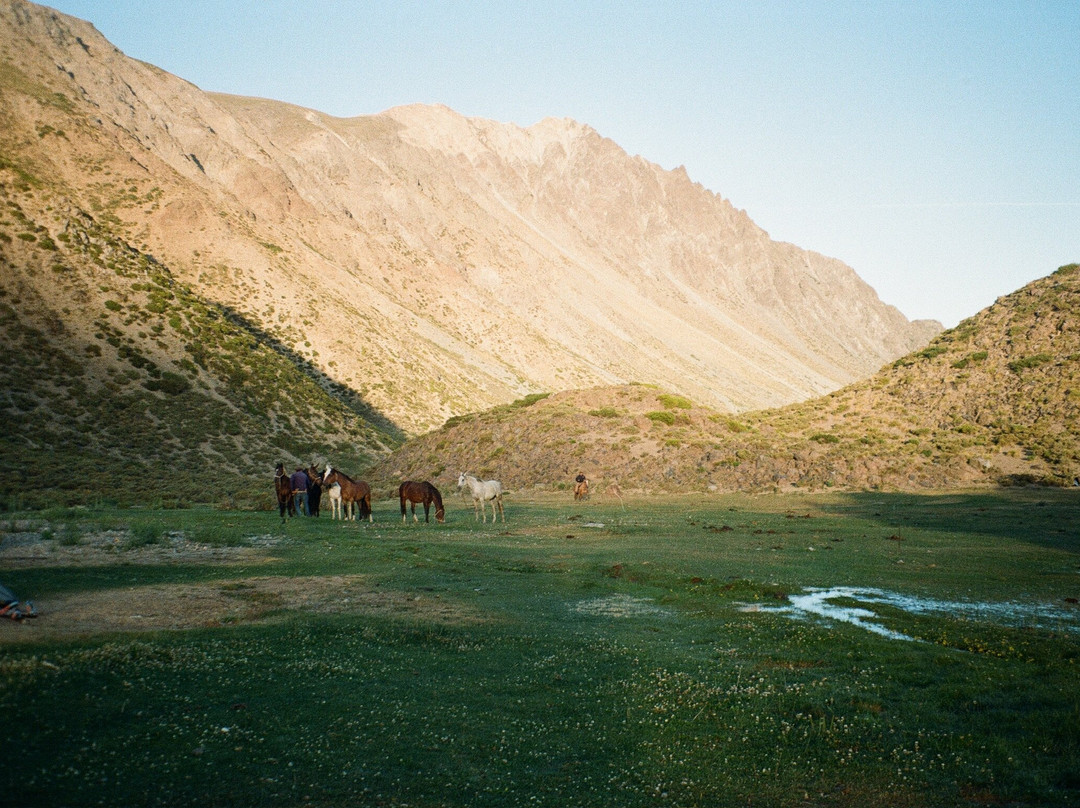 Chile Horse Riding-Panimavida必去景点