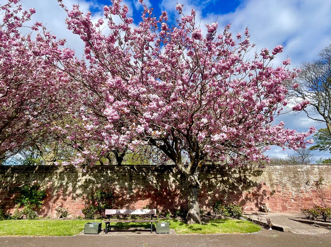 Springfield Rose Garden-Carmyllie必去景点