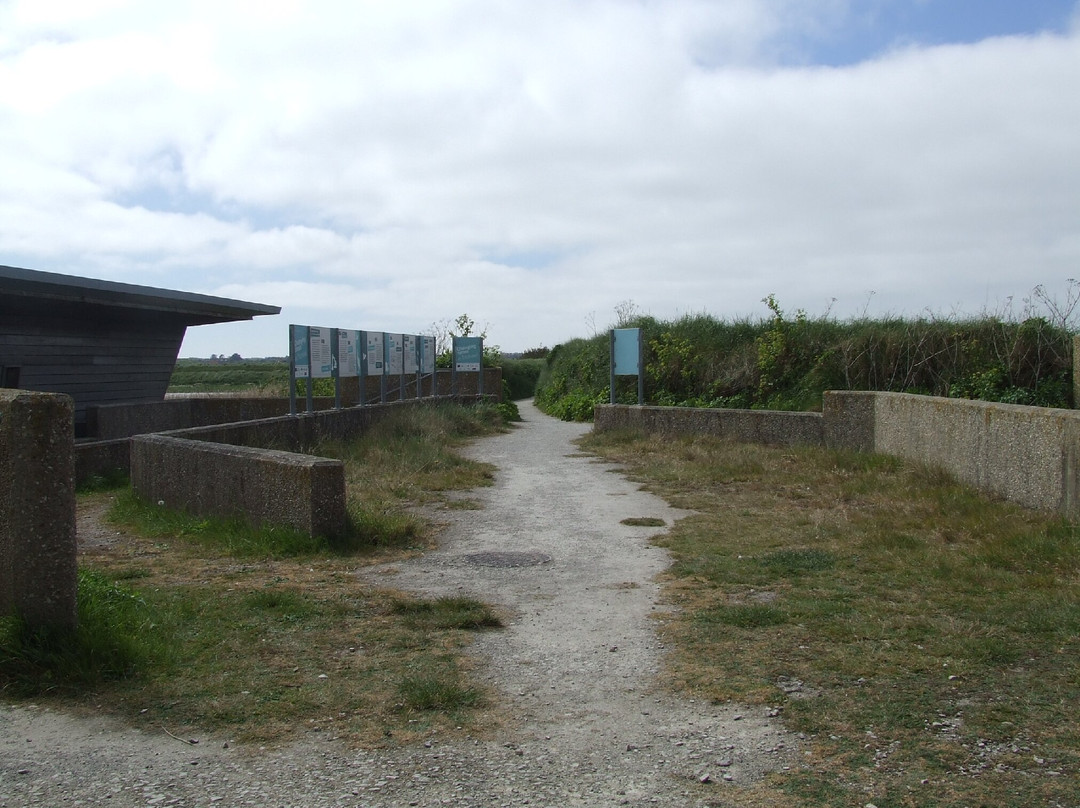 RSPB Titchwell Marsh-Titchwell必去景点
