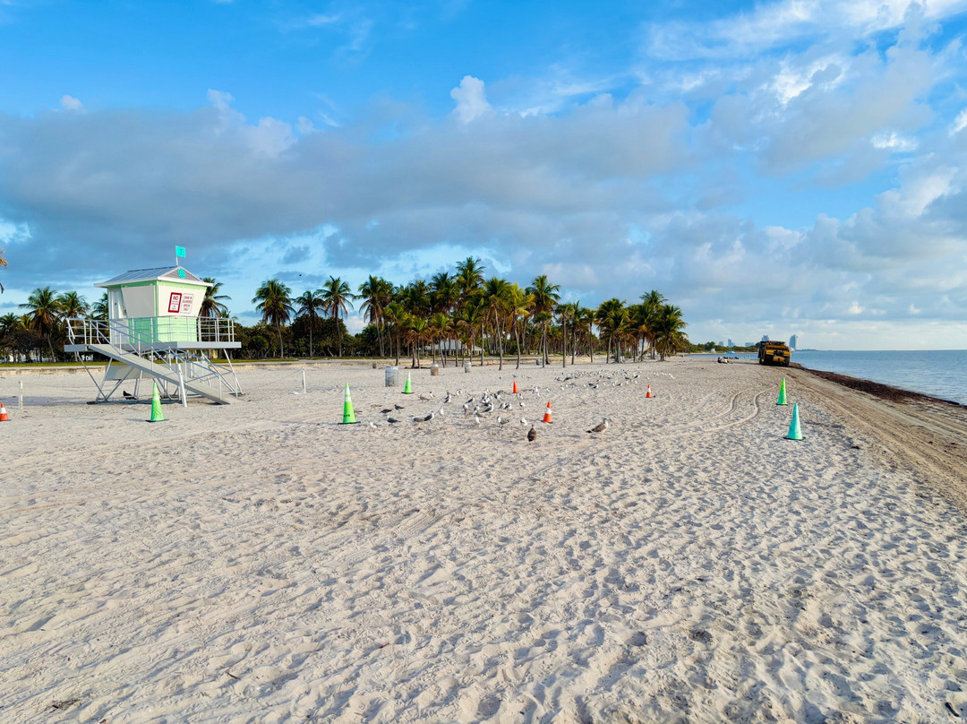 Crandon Beach-比斯坎湾必去景点