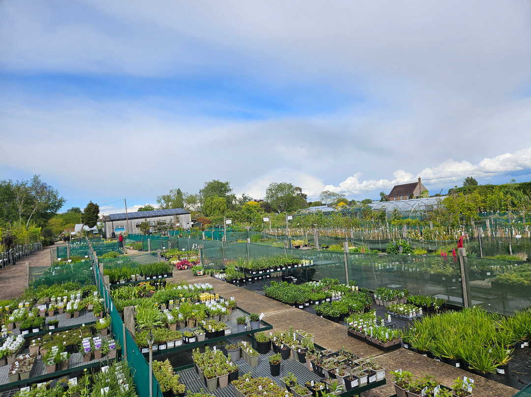 Langthorns Plantery-Little Canfield必去景点