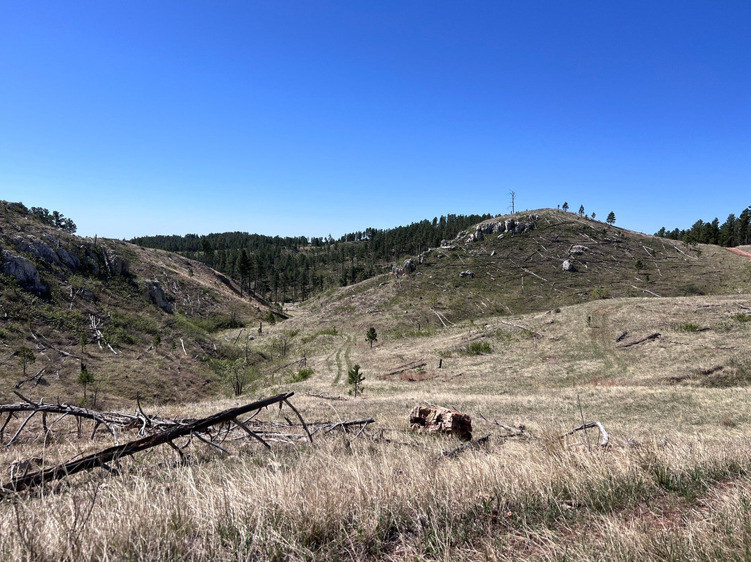 Black Hills Wilderness Edge-基斯通必去景点