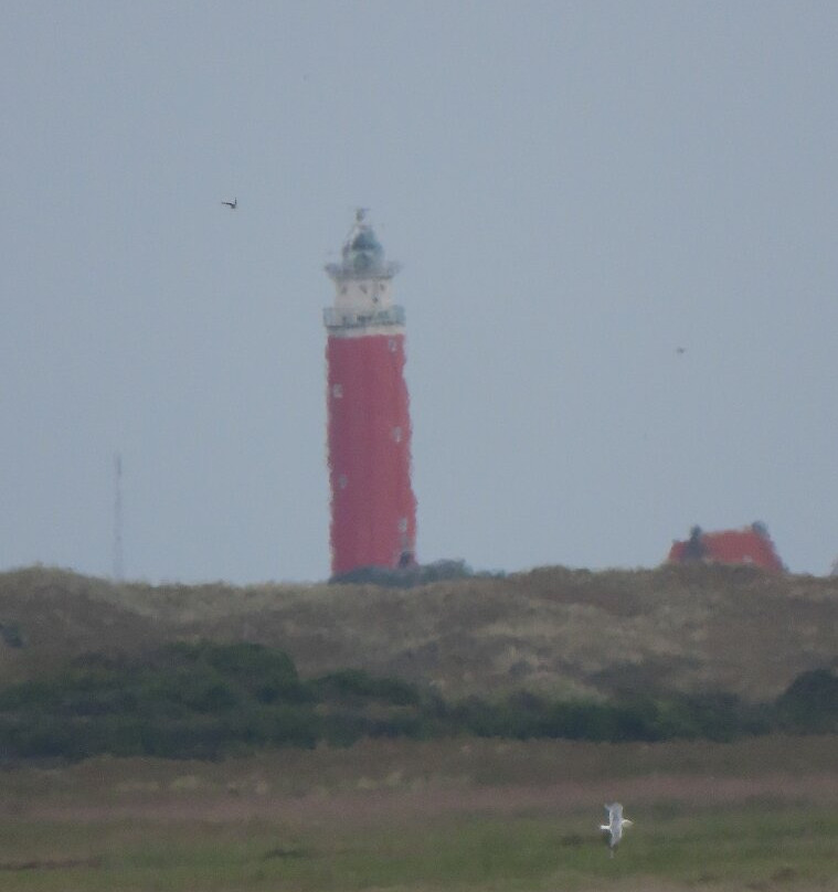 Jan Plezier Huifkartochten Texel-De Waal必去景点