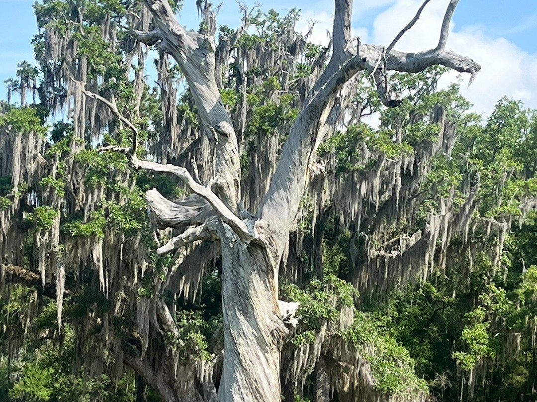 Fontainebleau State Park-Mandeville必去景点