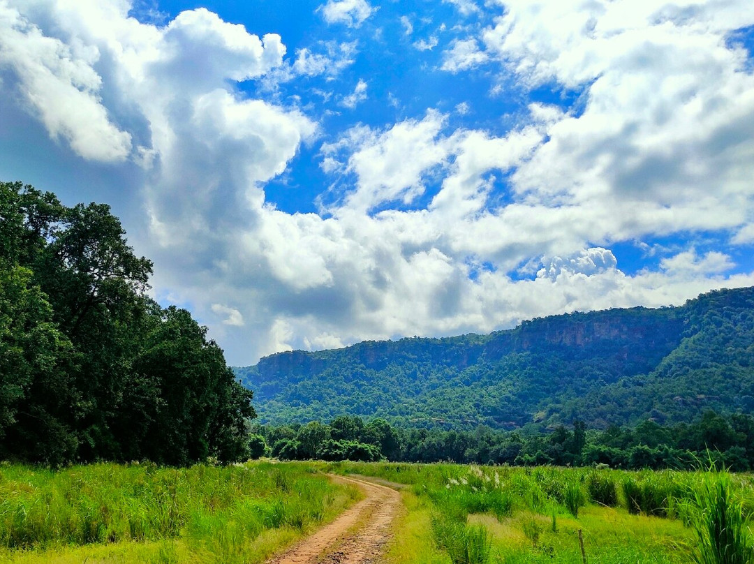 Bandhavgarh National Park-Bandhavgarh National Park必去景点