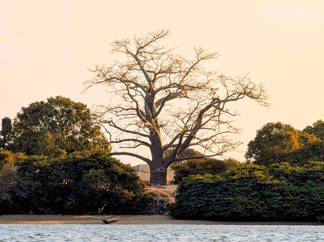 Ibou piroguier et guide touristique-开普史基林必去景点