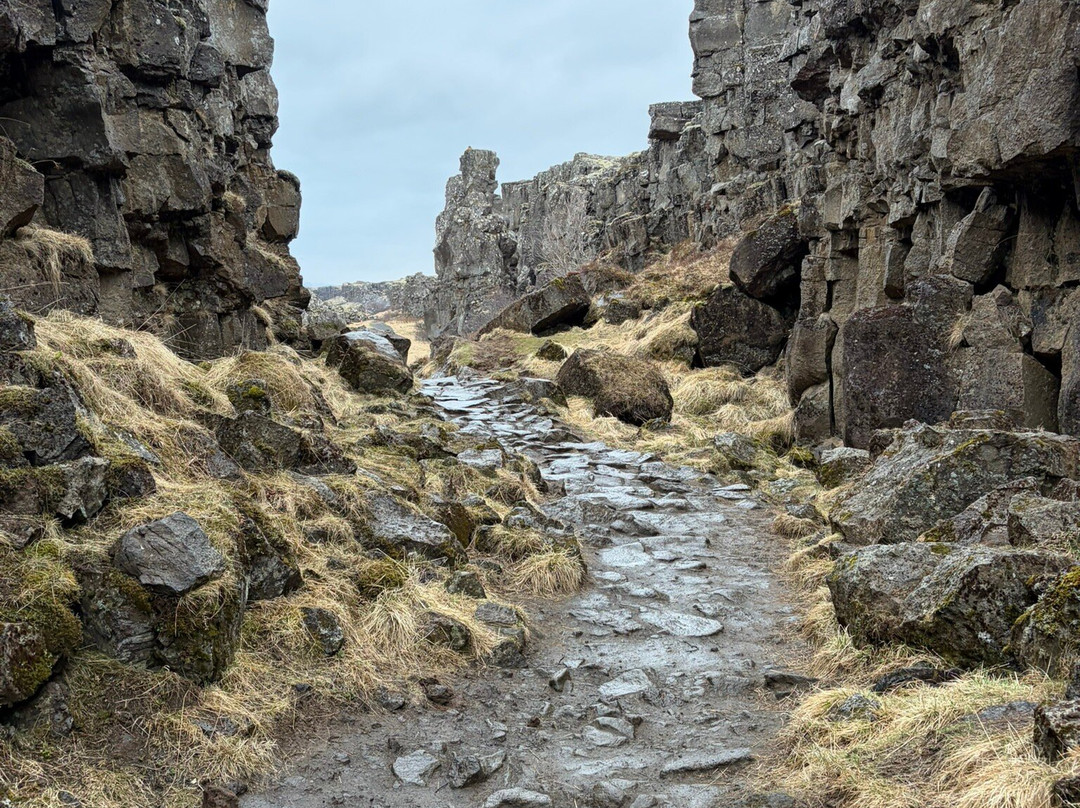 Oxararfoss-辛格维勒国家公园必去景点