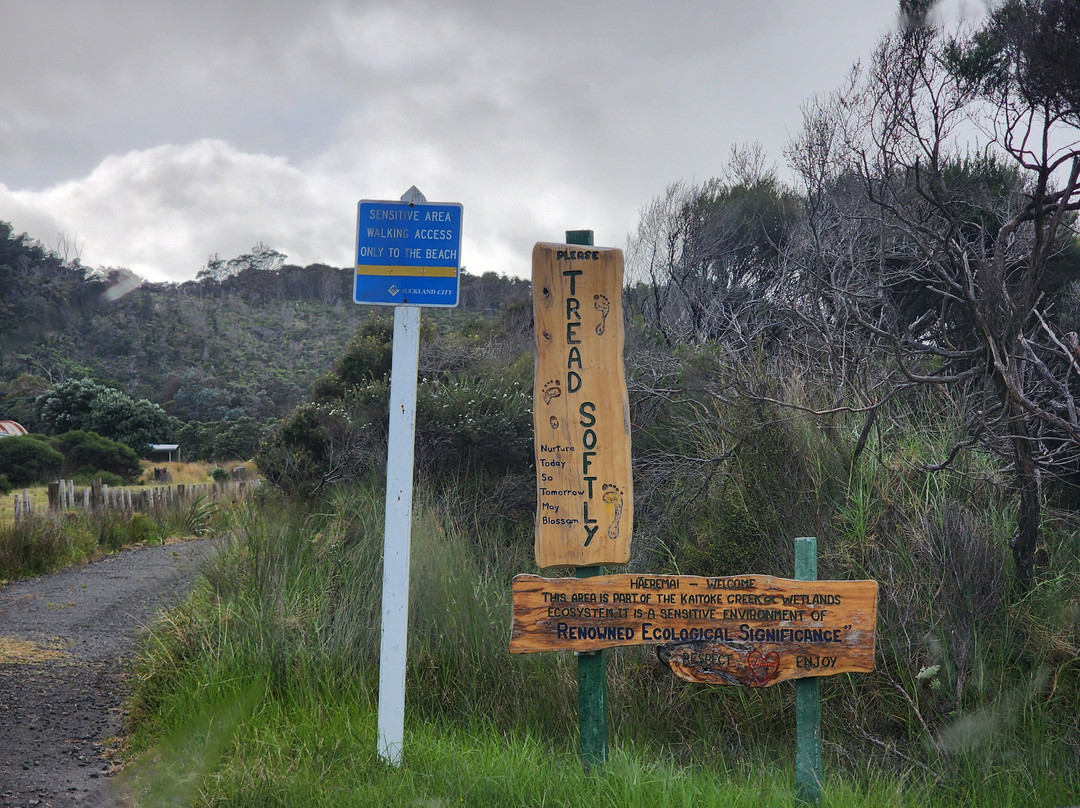 Mt Hobson via Windy Canyon-Great Barrier Island必去景点