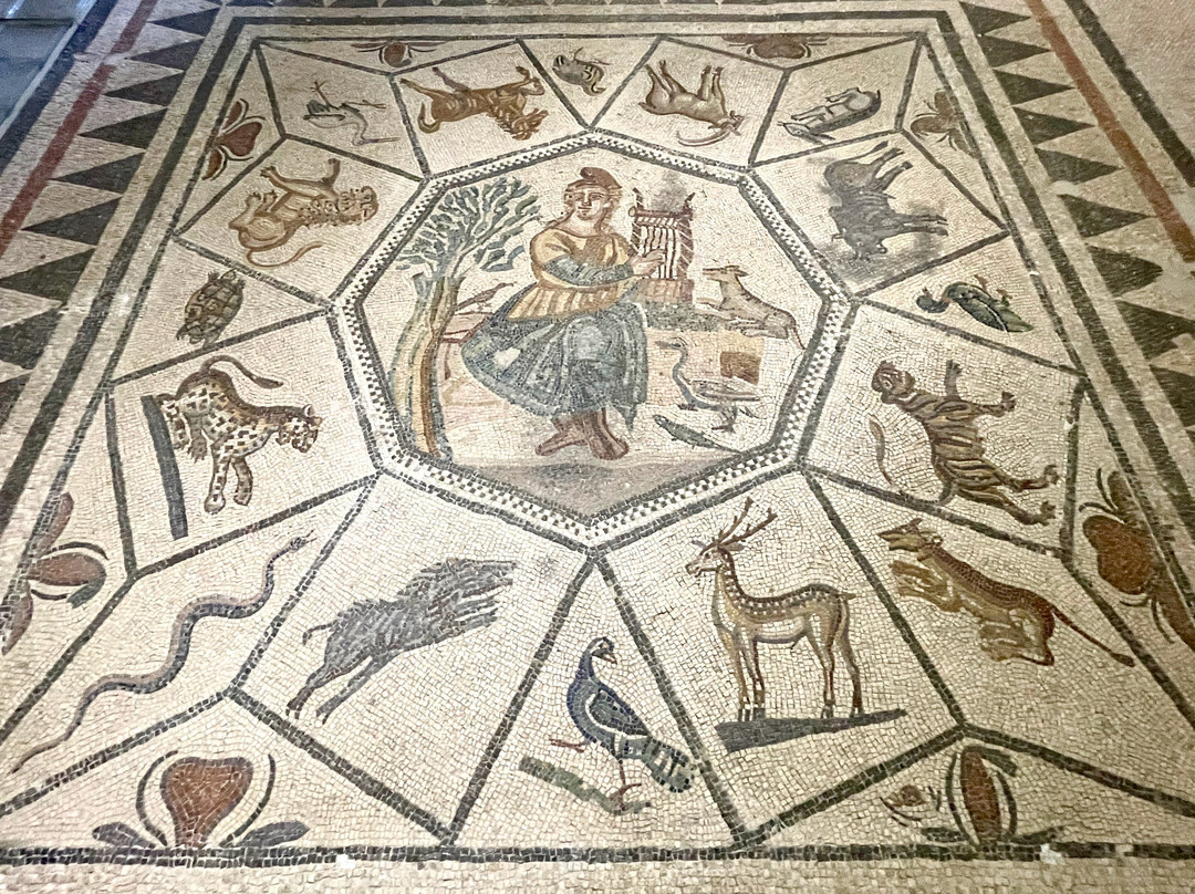 New Archaeological Museum Mytilene-米蒂利尼必去景点