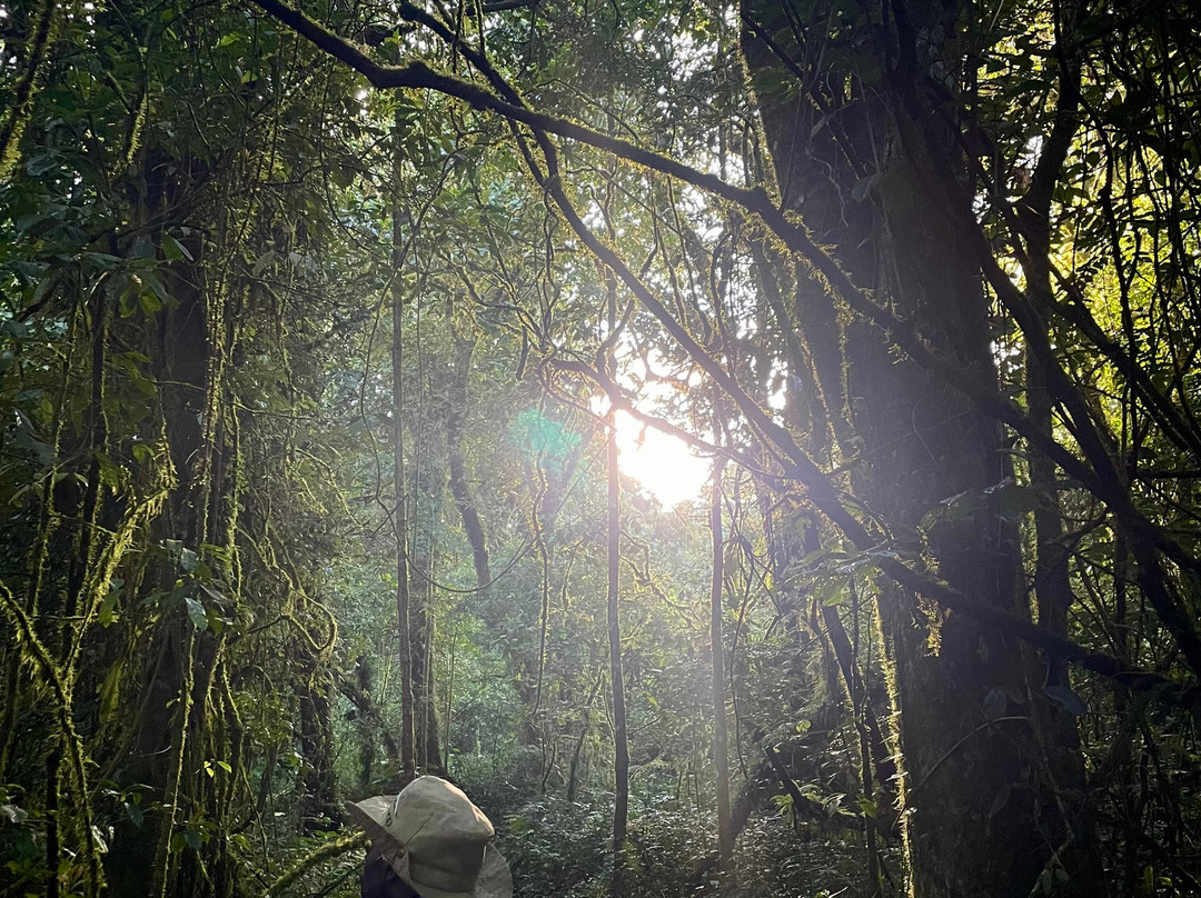 Mount Rungwe-Tukuyu必去景点