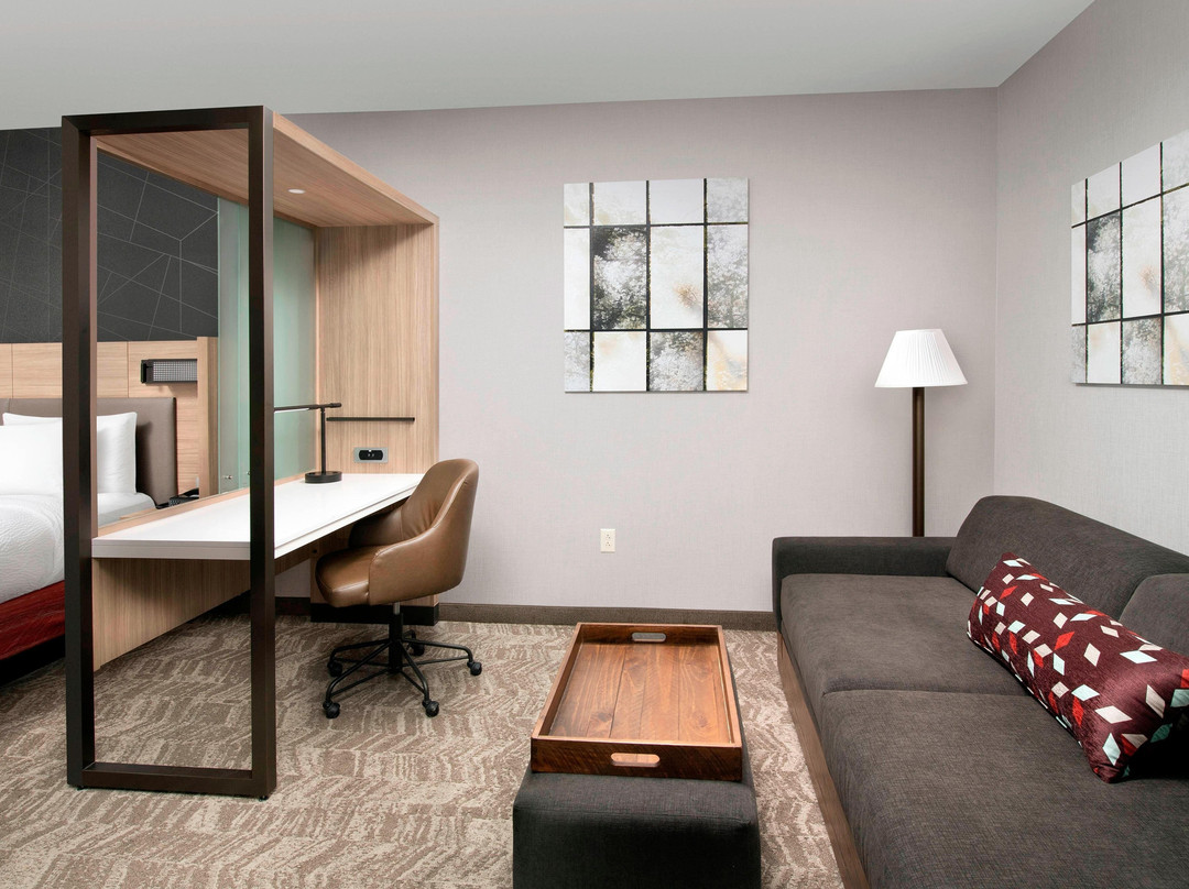 Alameda酒店住宿-SpringHill Suites by Marriott Albuquerque North/Journal Center
