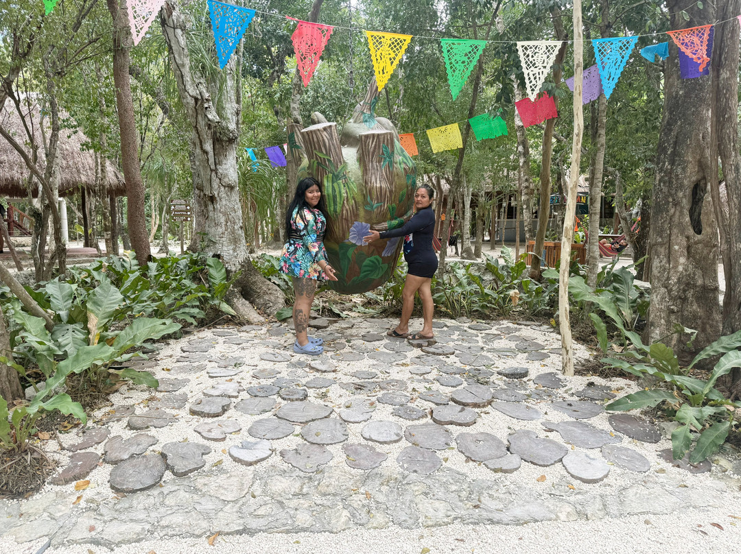 Cenotes Casa Tortuga-图伦必去景点