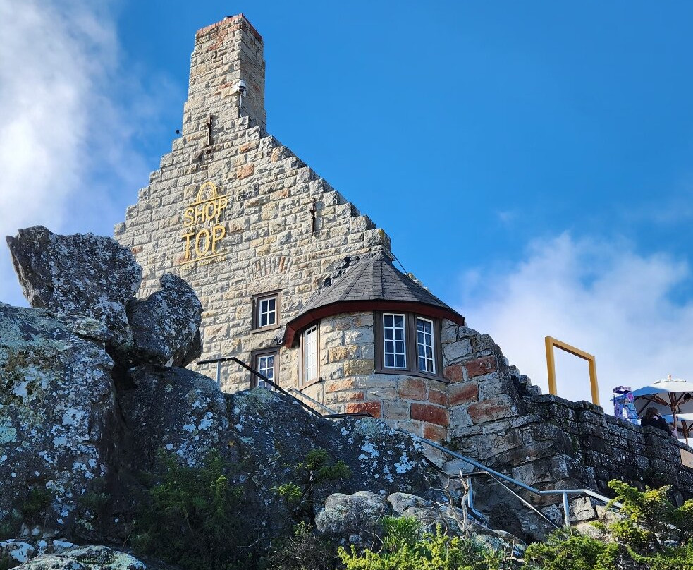 桌山-桌山国家公园必去景点