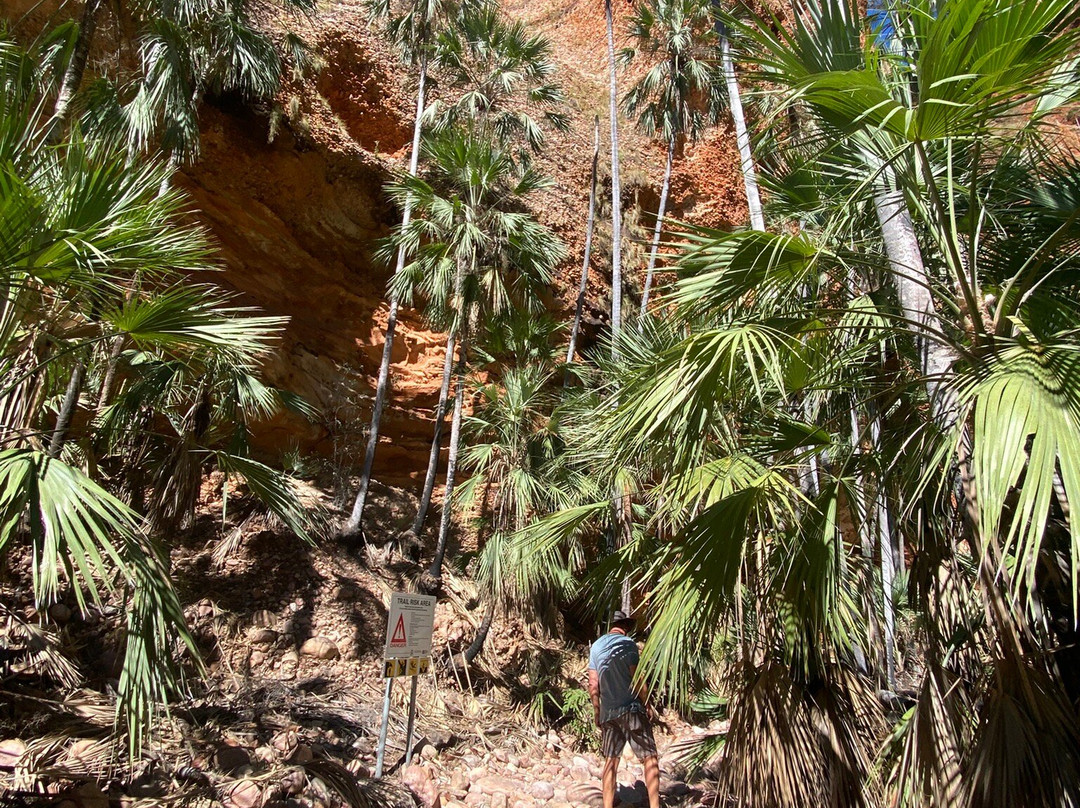 Purnululu National Park-Purnululu National Park必去景点
