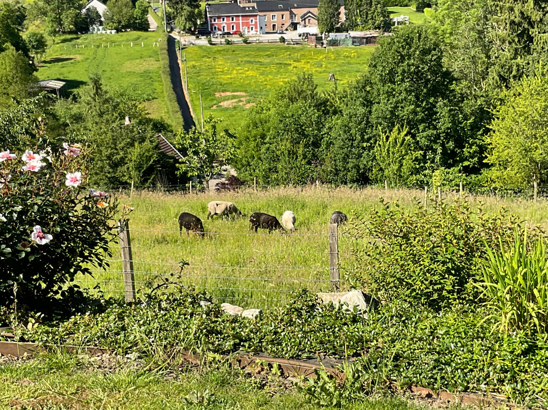 Les Jardins De La Ferme
