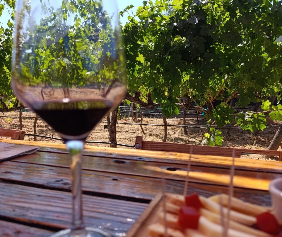 Lechuza Vineyard-Valle de Guadalupe必去景点