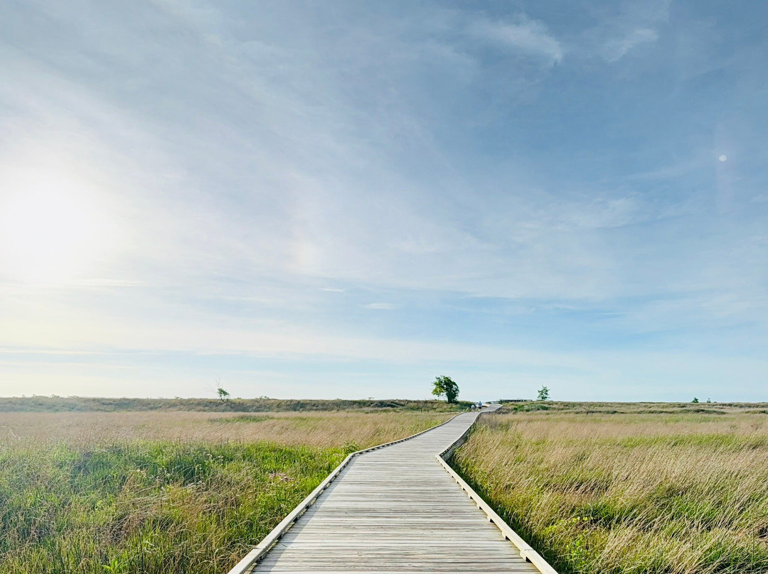Headlands Beach State Park-Mentor必去景点