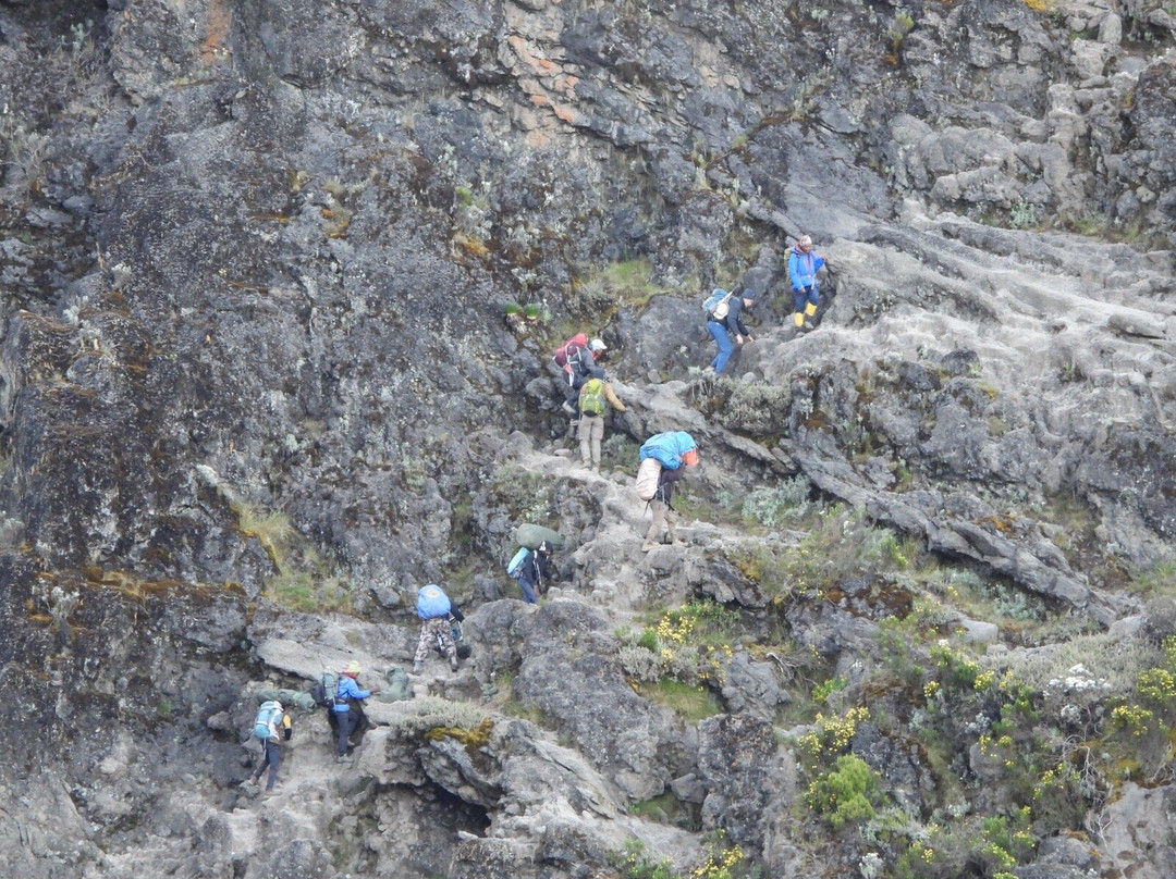 Mount Kilimanjaro-乞力马扎罗山国家公园必去景点