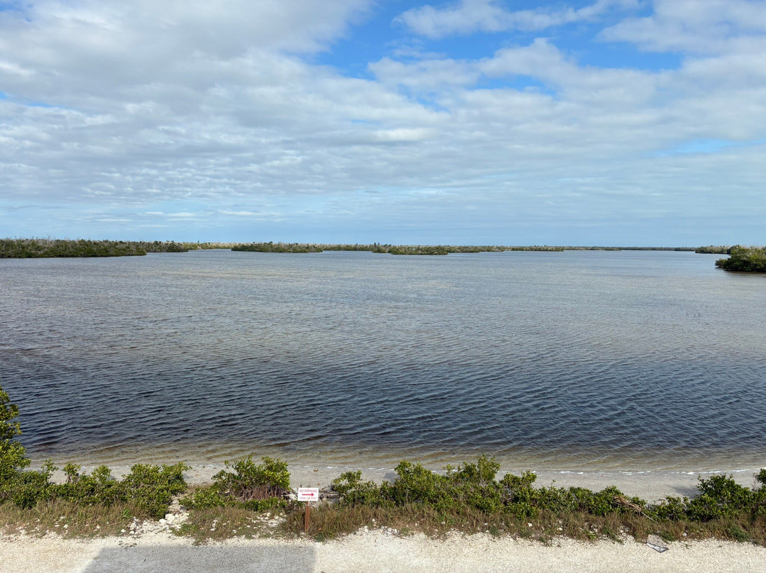 J.N. "Ding" Darling National Wildlife Refuge-萨尼贝尔岛必去景点