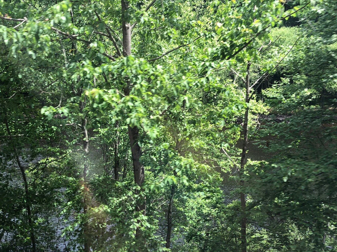 Lehigh Gorge Scenic Railway-吉姆索普必去景点