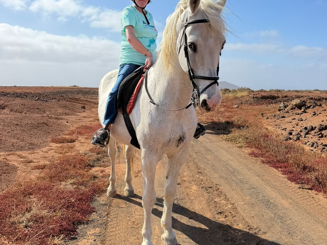 Horses Lanzarote-Teseguite必去景点