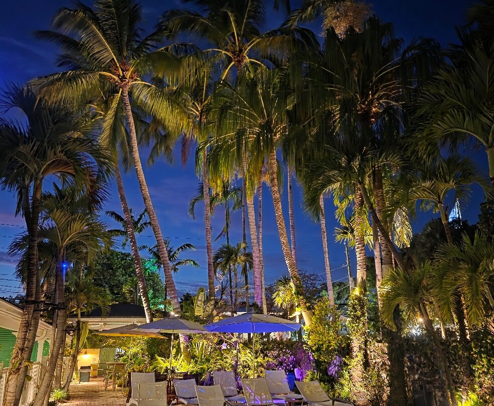 杏仁树旅店酒店 - 限成人主图