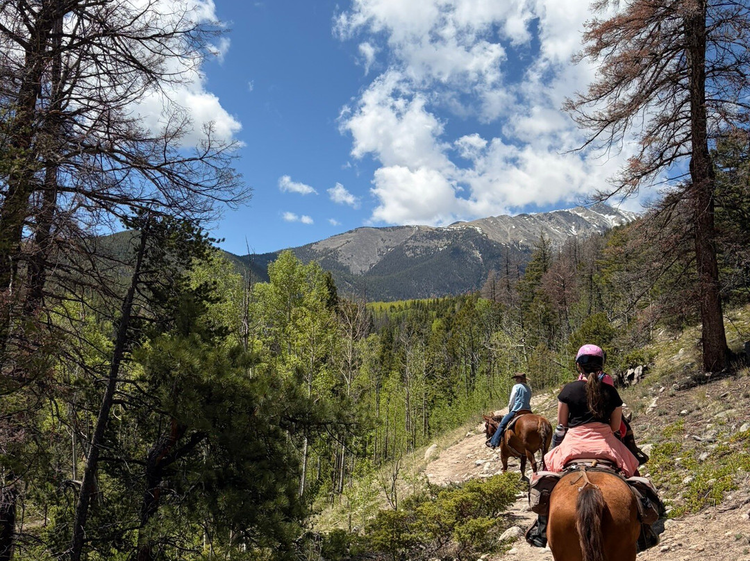Mt Princeton Hot Springs Stables-Nathrop必去景点