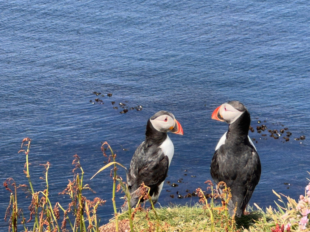 Isle of Lunga-The Hebrides必去景点