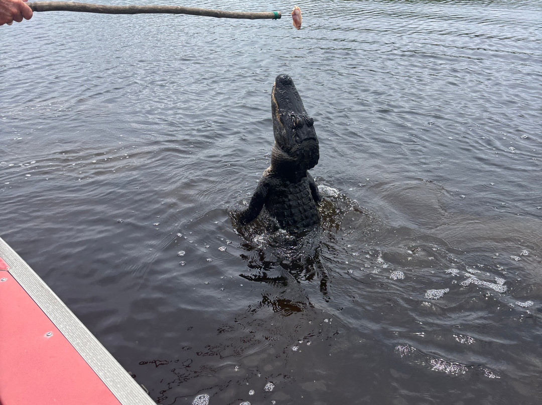 New Orleans Airboat Tours-Marrero必去景点