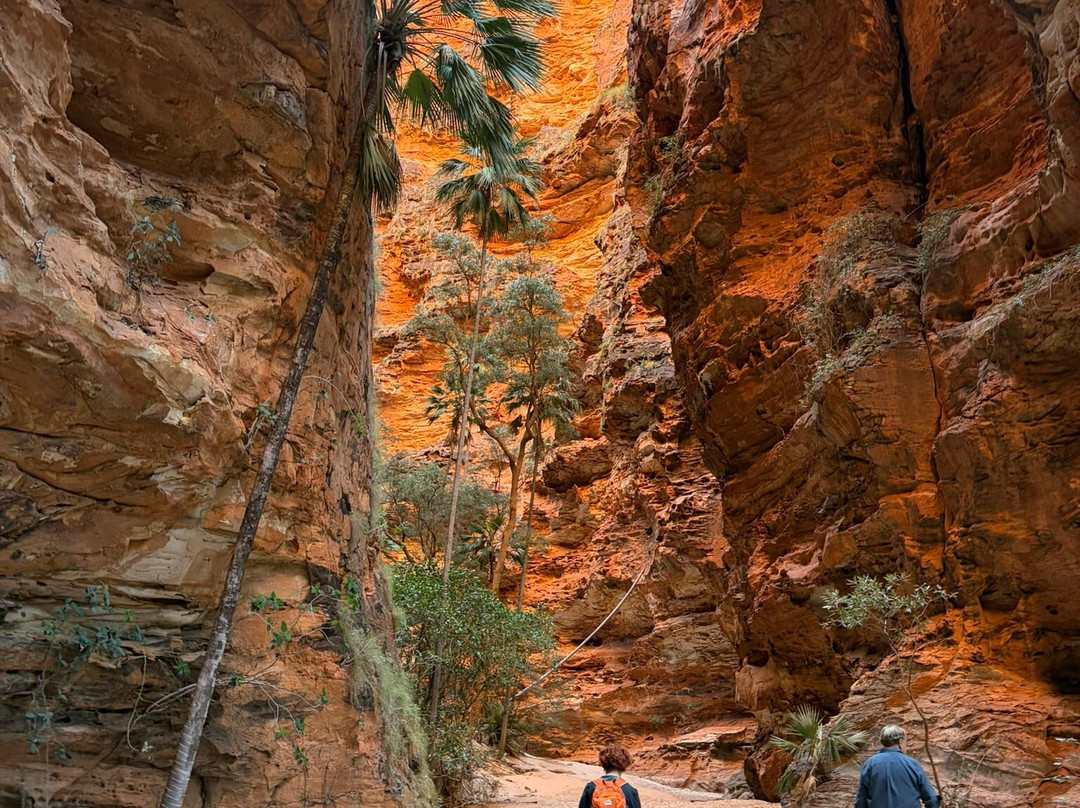 Trek Tours Australia-达尔文市必去景点