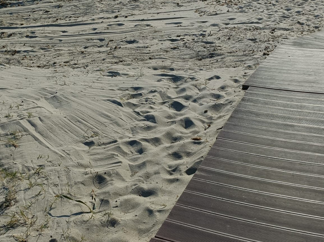 Marina Rey Beach Resort主图
