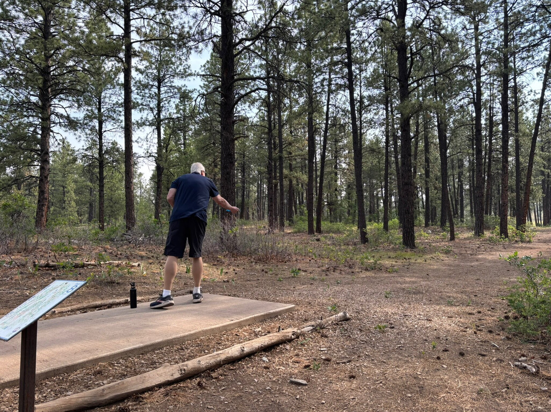 Cloman Park Disc Golf Course-帕戈萨斯普林斯必去景点