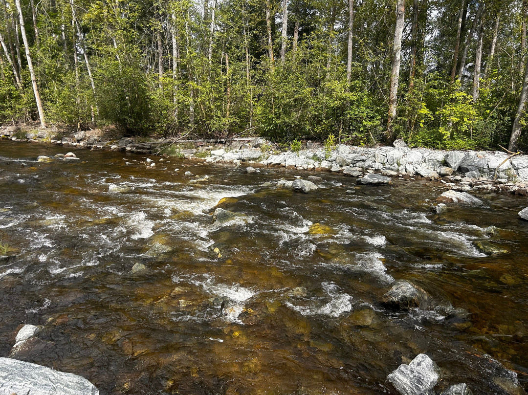 Mission Creek Regional Park-基洛纳必去景点