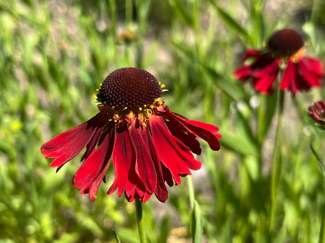 Pensthorpe-Fakenham必去景点