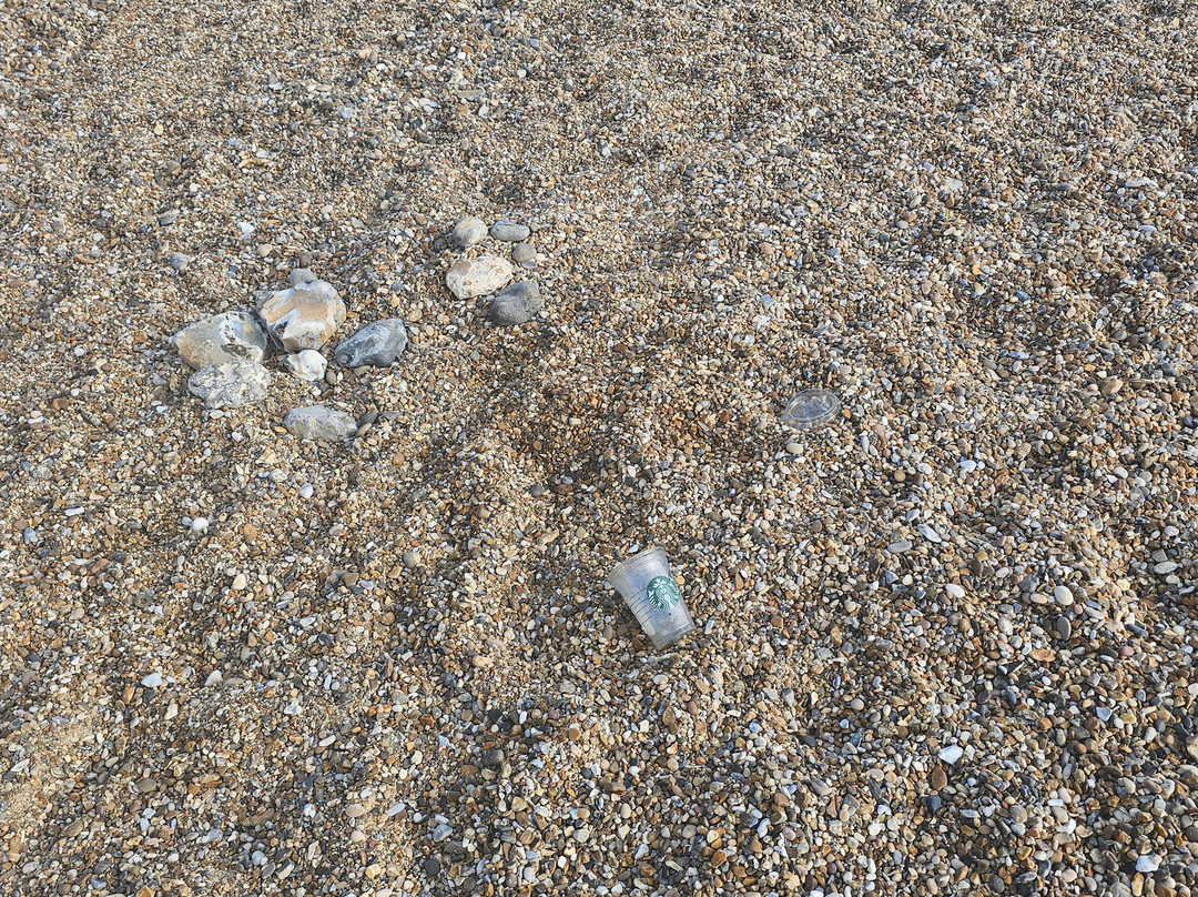 Gunton Warren Nature Reserve-洛斯托夫特瓷必去景点