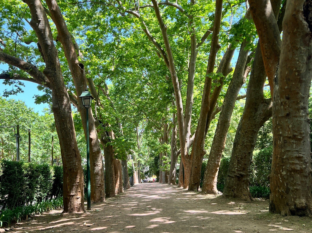 Parque Dom Carlos I-Caldas da Rainha必去景点