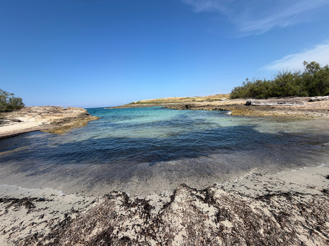 Area Marina Protetta Di Torre Guaceto-Carovigno必去景点
