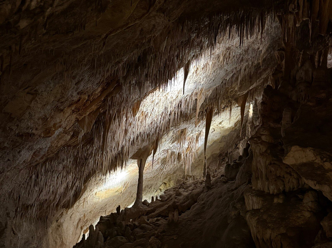 Cuevas del Drach-克里斯托港必去景点