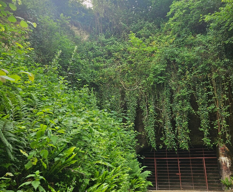 Beer Quarry Caves-Beer必去景点