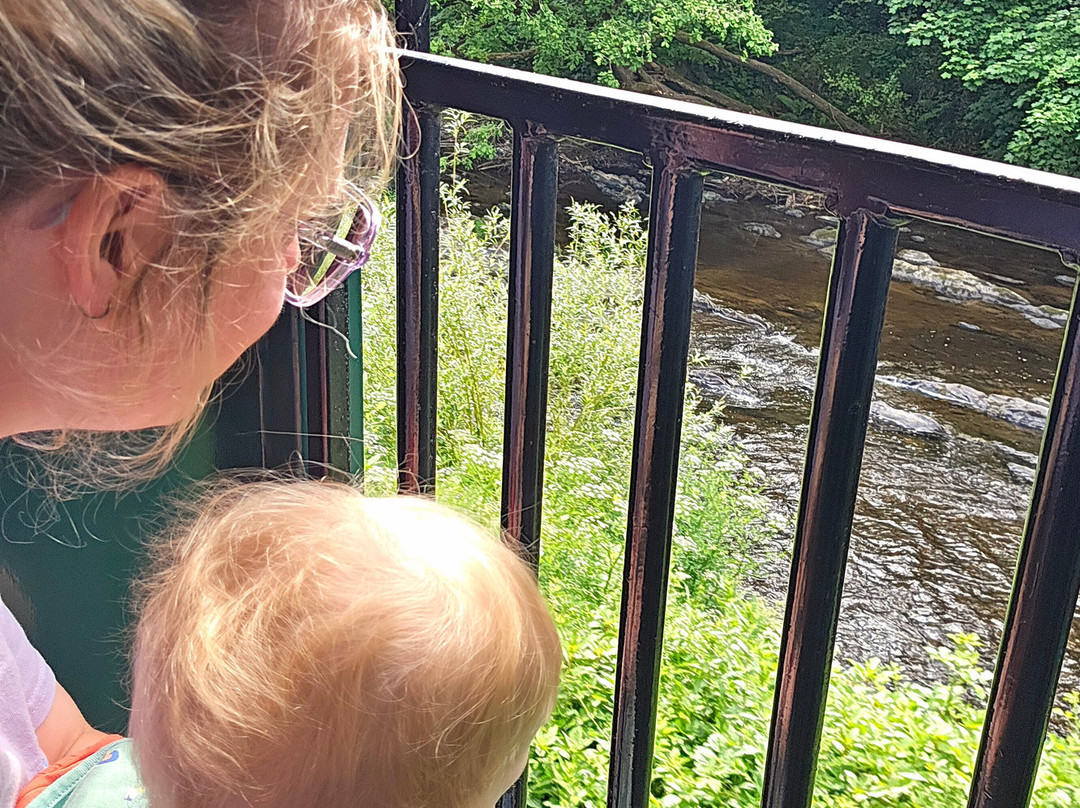 Welshpool and Llanfair Light Railway-Welshpool必去景点