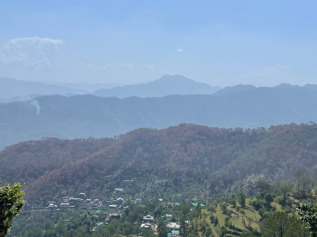 Kasauli Nature Walks With Vanita-Kasauli必去景点