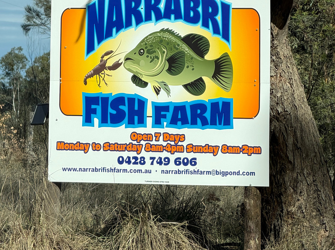 Narrabri Fish Farm-纳拉布莱必去景点