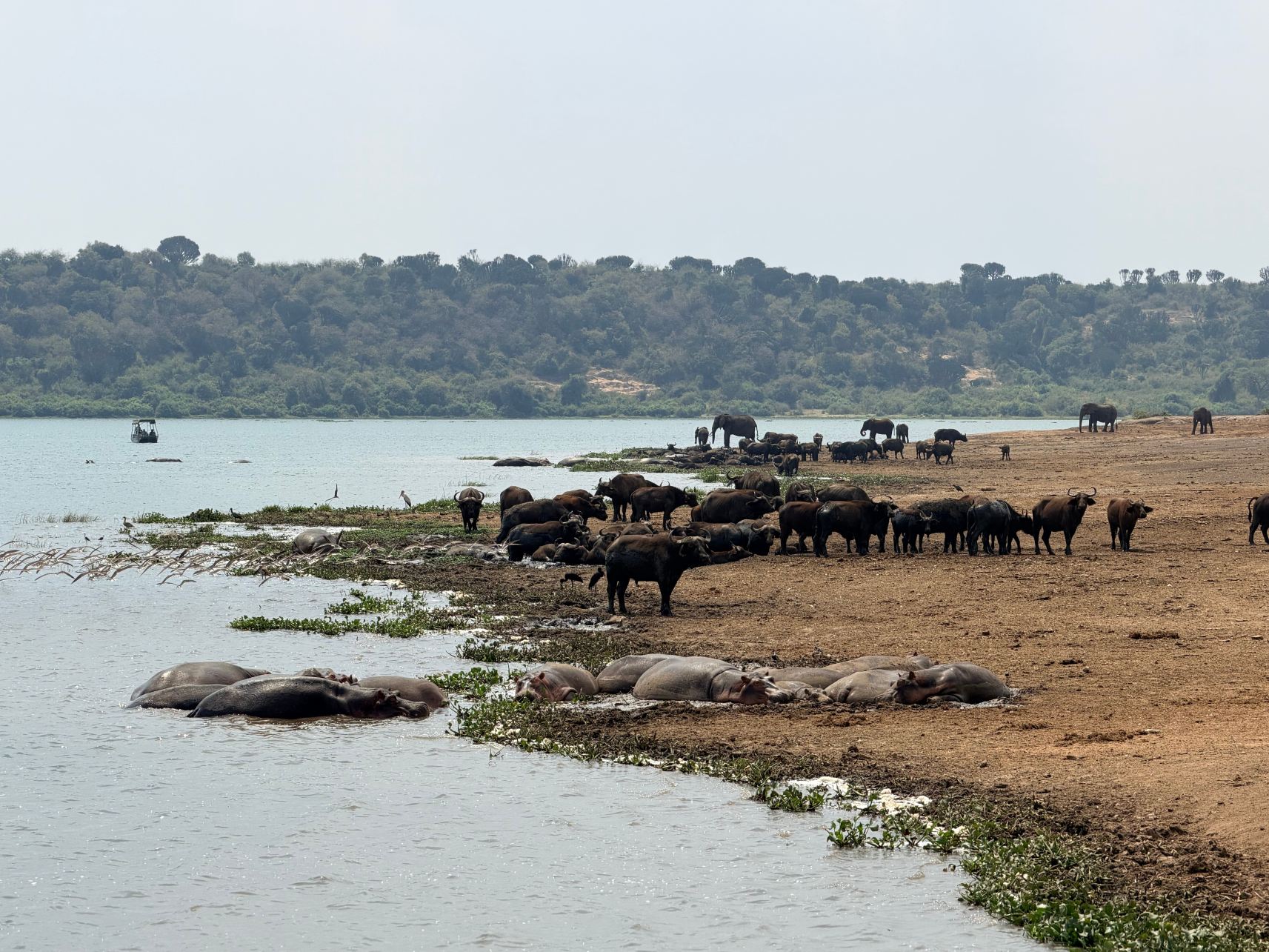 Mweya Safari Lodge-旅行者