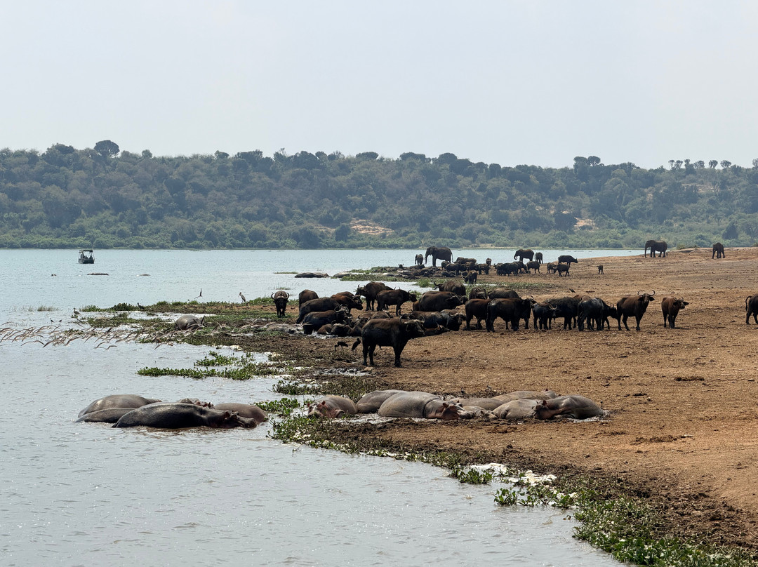 Mweya Safari Lodge主图