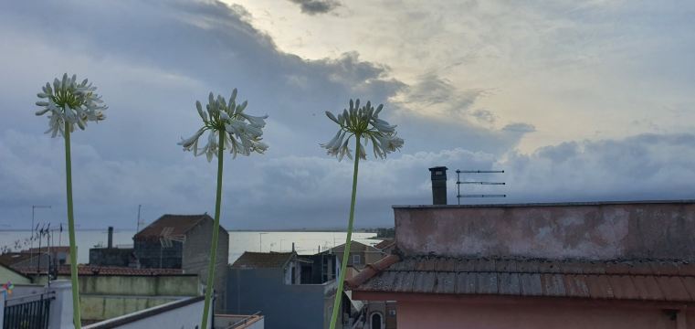 杜卡雷刘广场民宿-旅行者