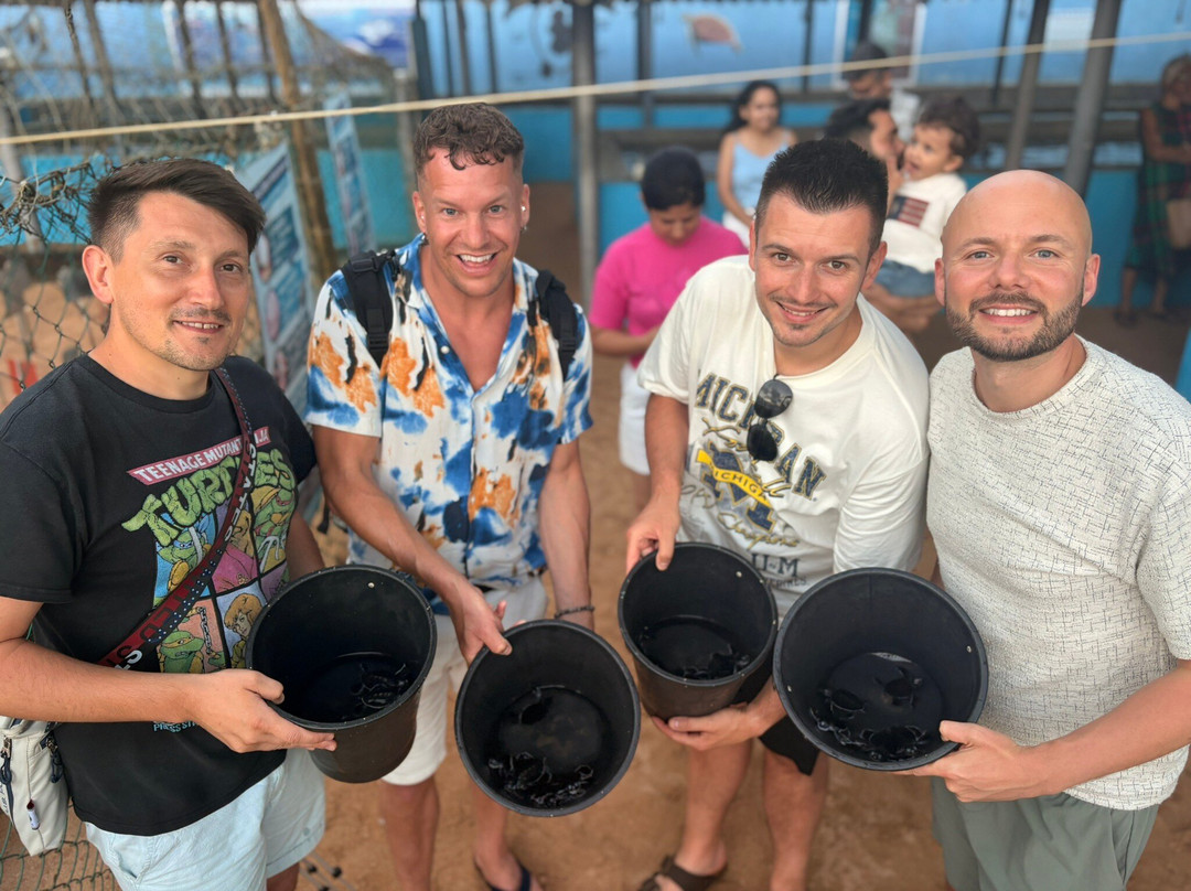 Kosgoda Sea Turtle Conservation Project-科斯戈德必去景点