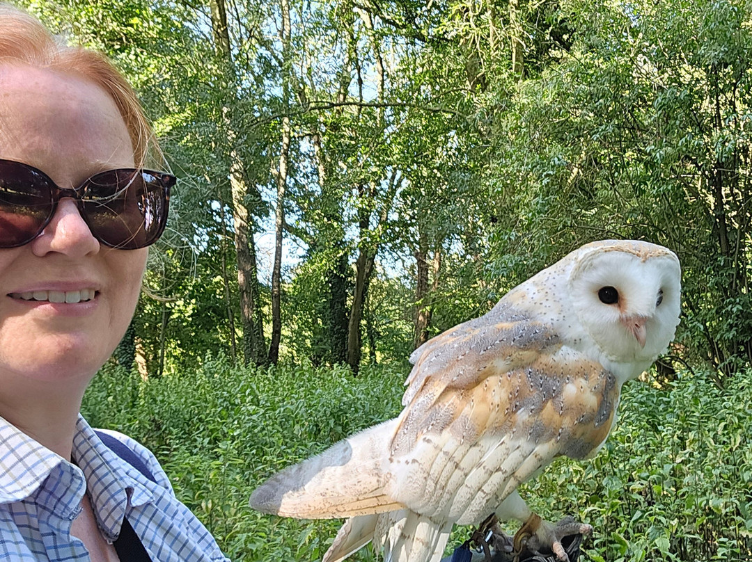Hampshire Hawk Walks-Four Marks必去景点