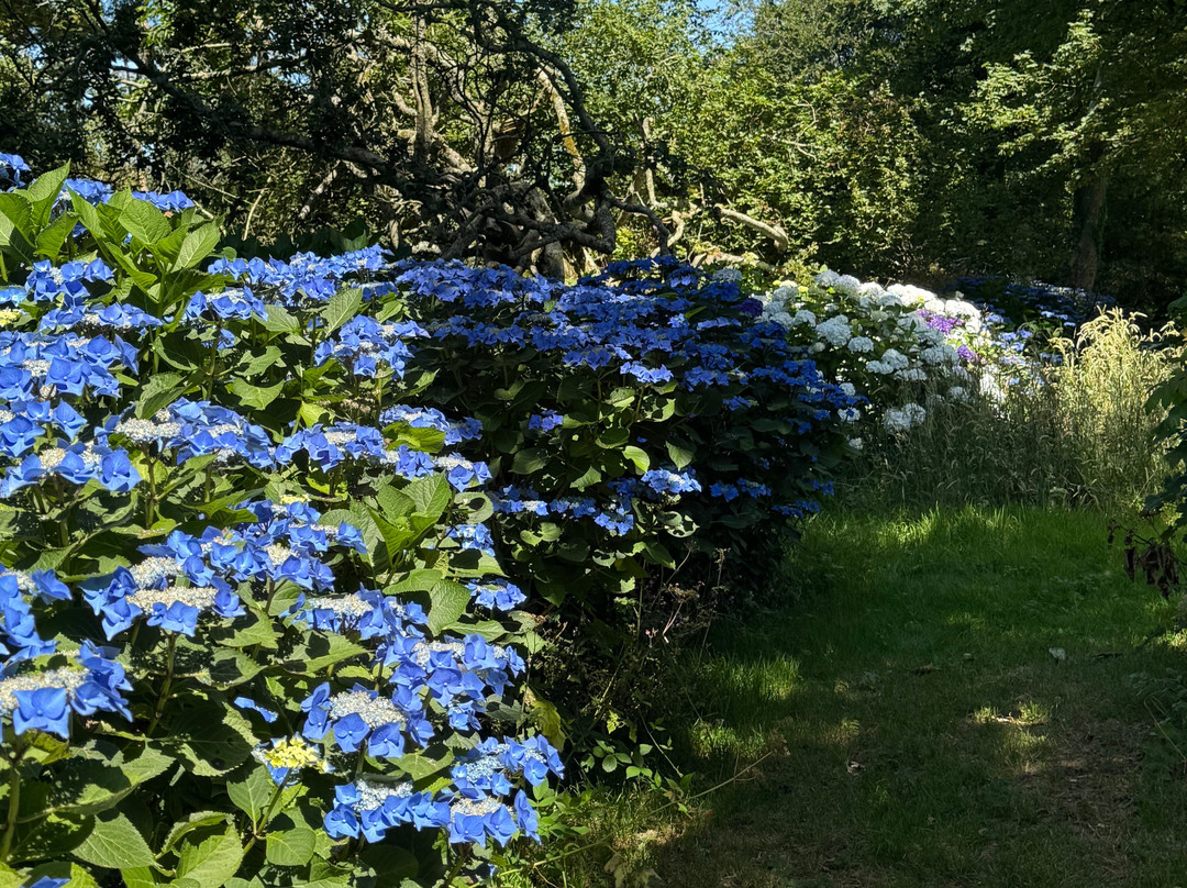 Trewithen Gardens-Grampound必去景点
